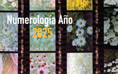 Numerología – 2025 es un año 9